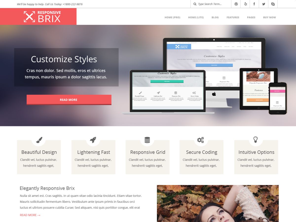 Responsive Brix theme screenshot