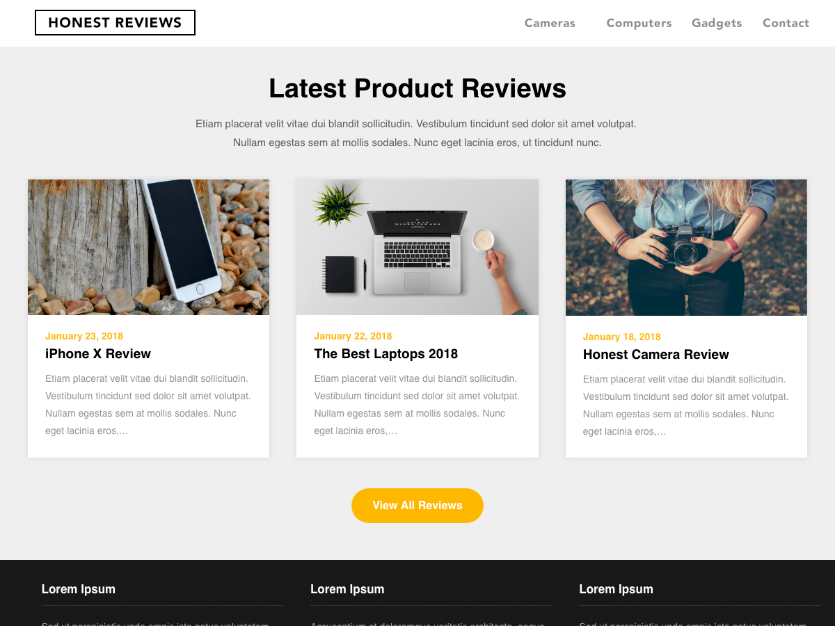 Reviewers Landing Page theme screenshot