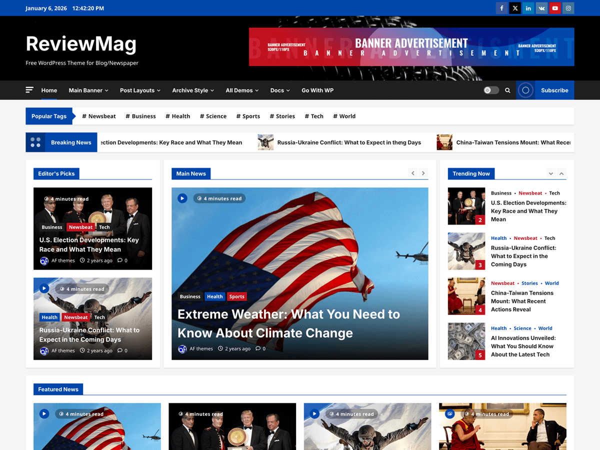 ReviewMag theme screenshot