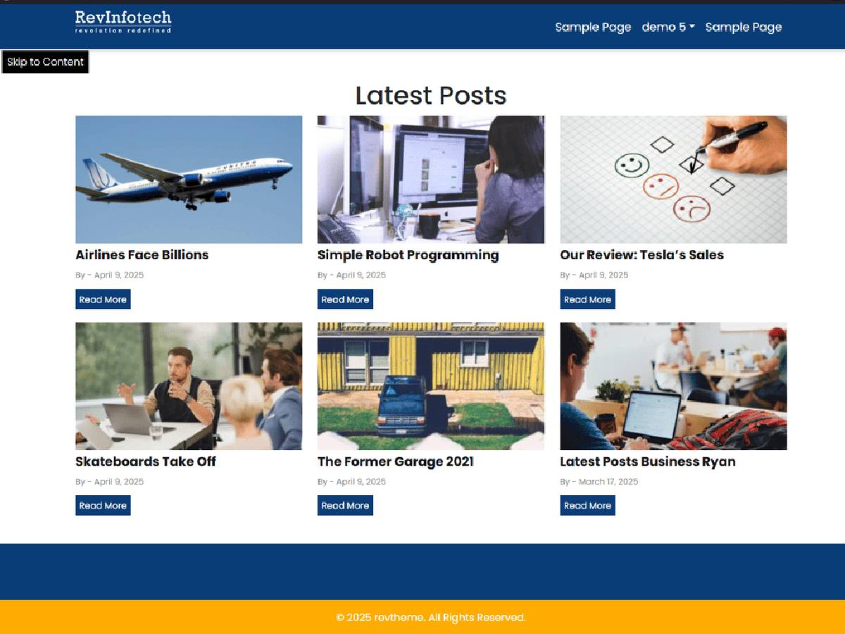 Revinfotech theme screenshot