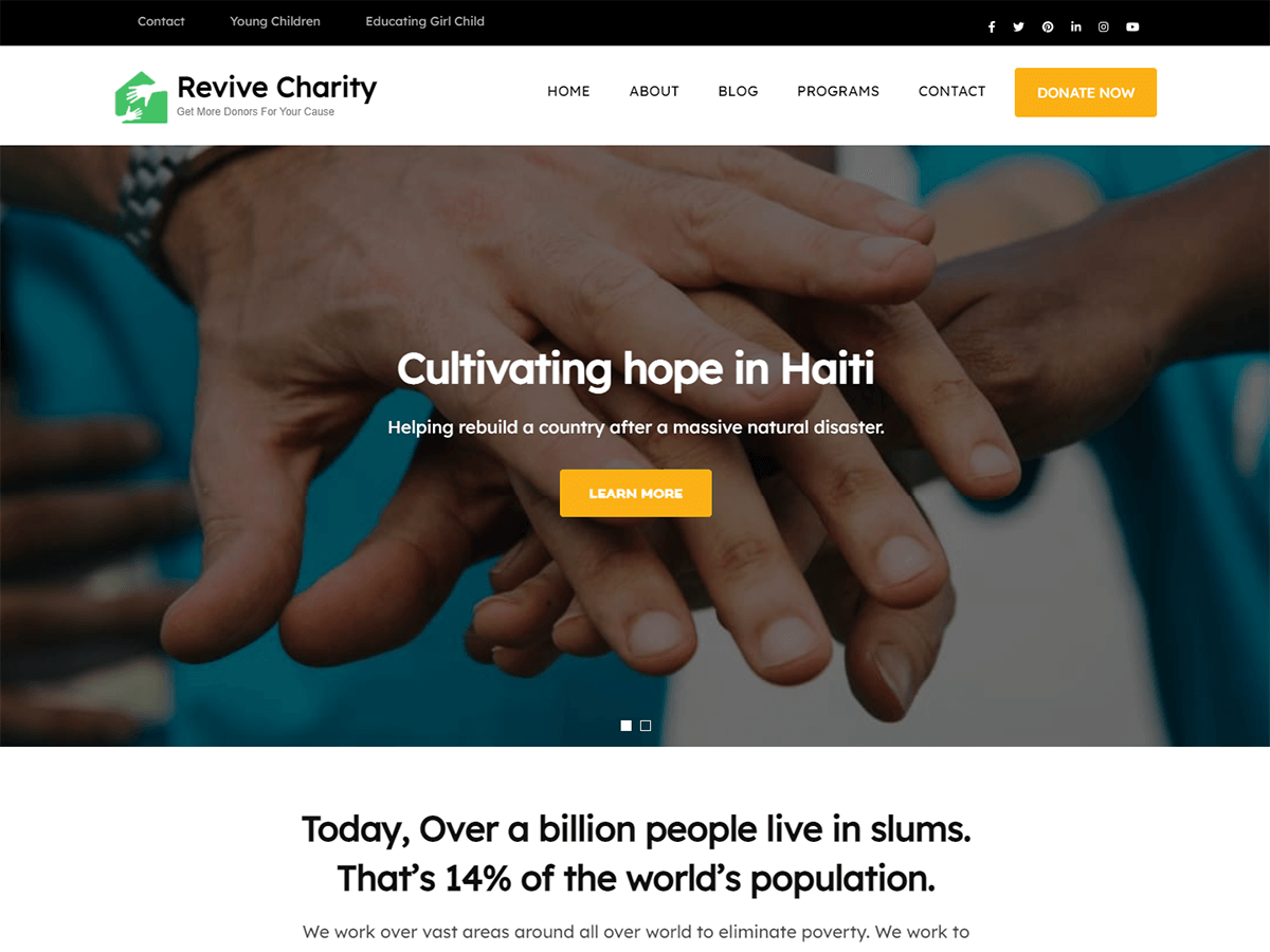 Revive Charity theme screenshot
