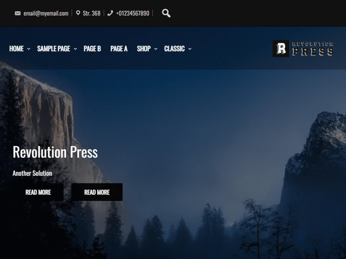 Revolution Press theme screenshot