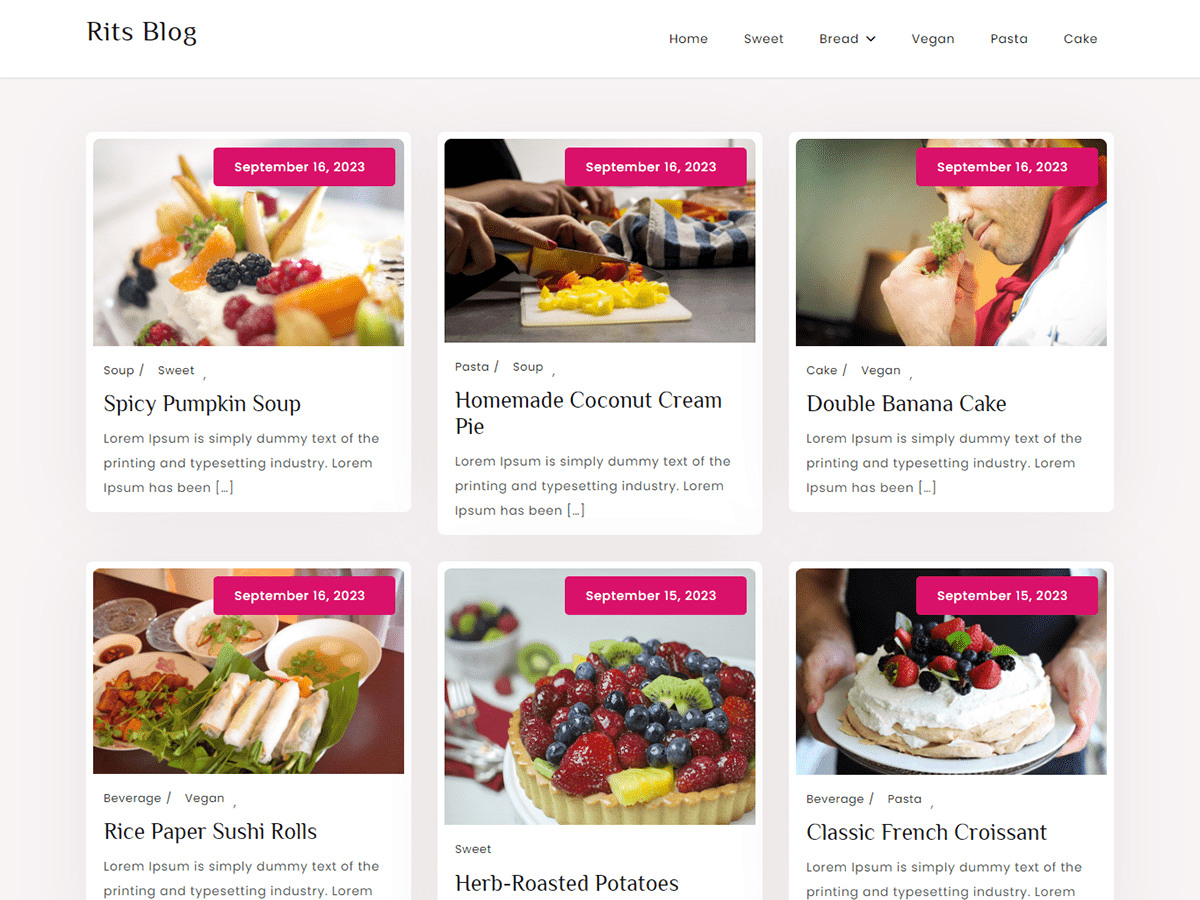 Rits Blog theme screenshot