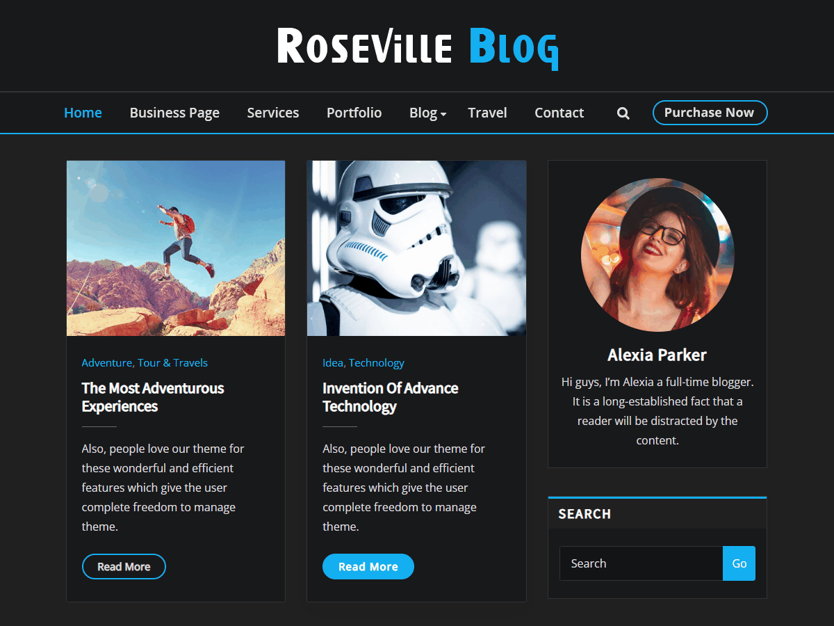 Roseville Blog theme screenshot