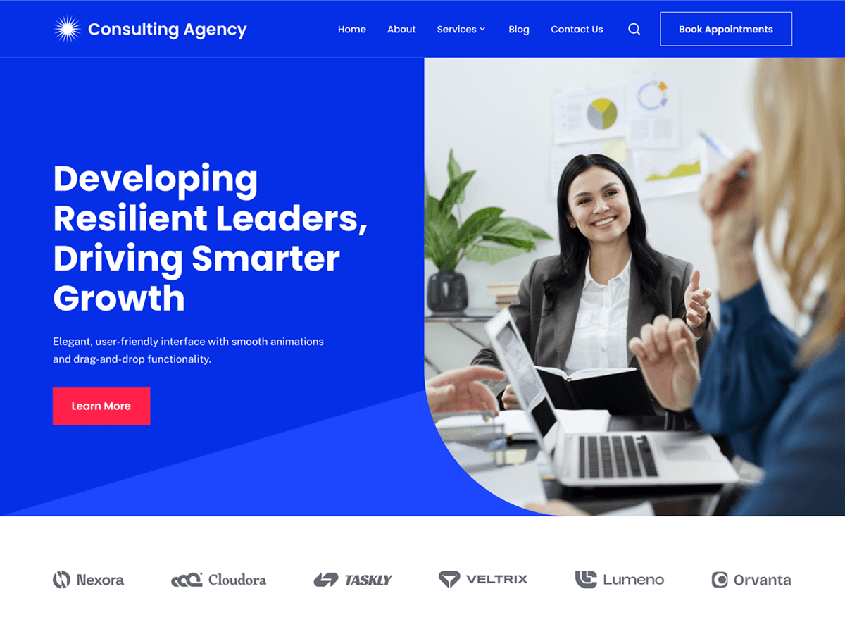 Saas Consulting Agency theme screenshot