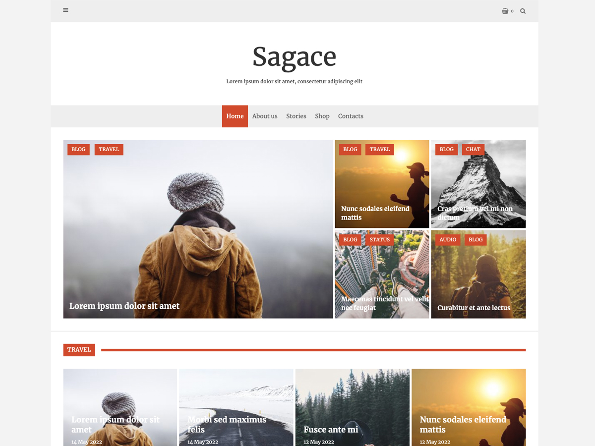 Sagace theme screenshot