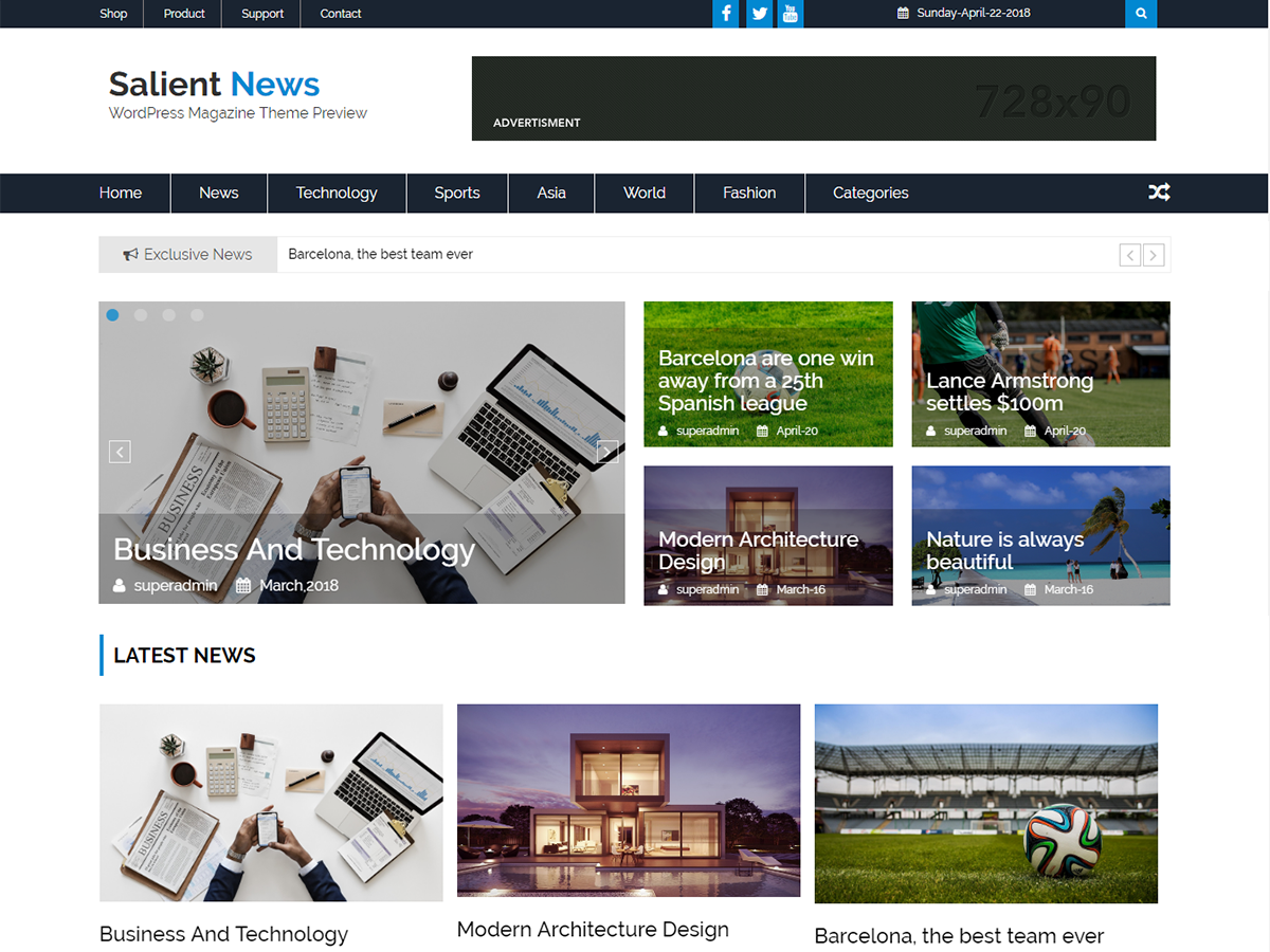Salient News theme screenshot