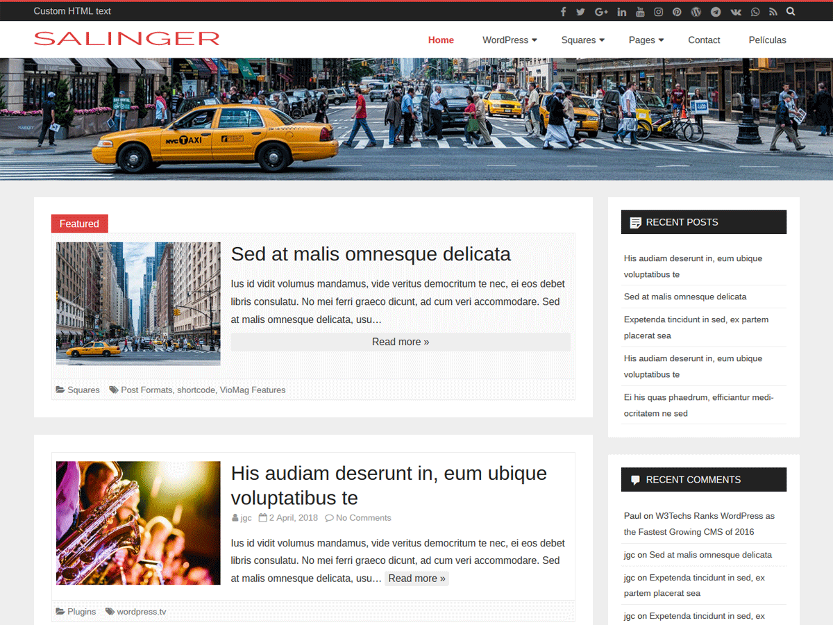 Salinger theme screenshot