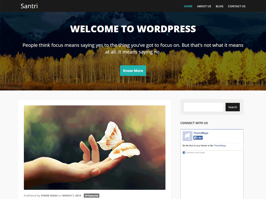 Santri theme screenshot