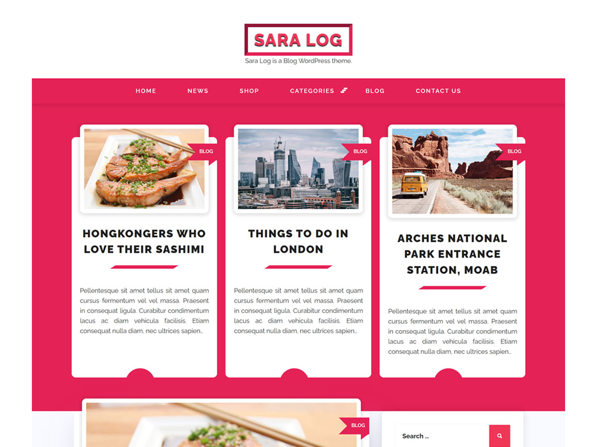 Sara Log theme screenshot
