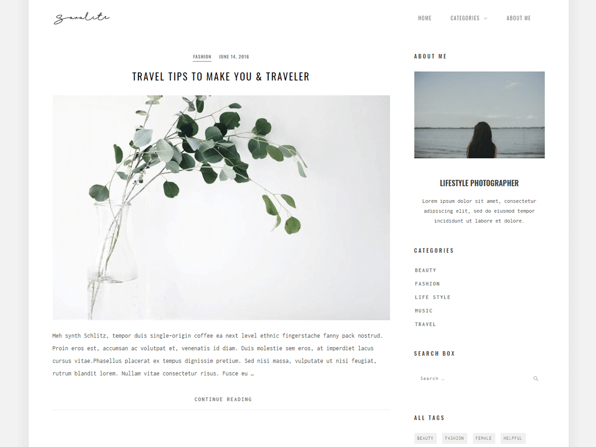 SaraLite theme screenshot
