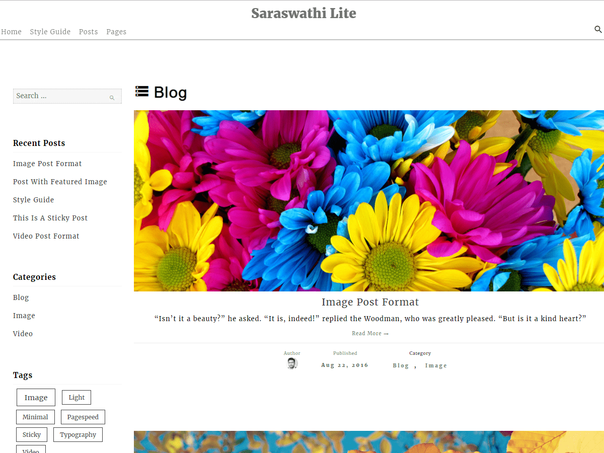 Saraswathi Lite theme screenshot