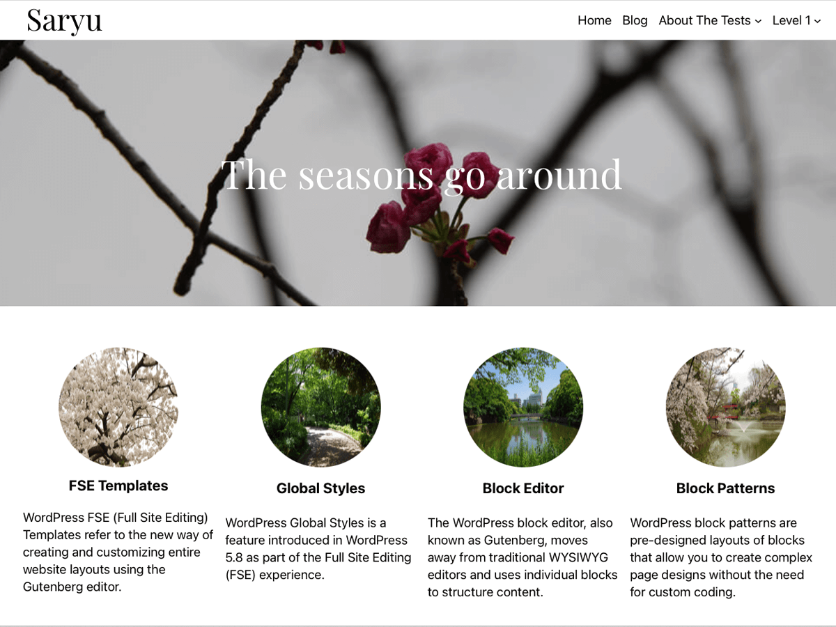 Saryu theme screenshot