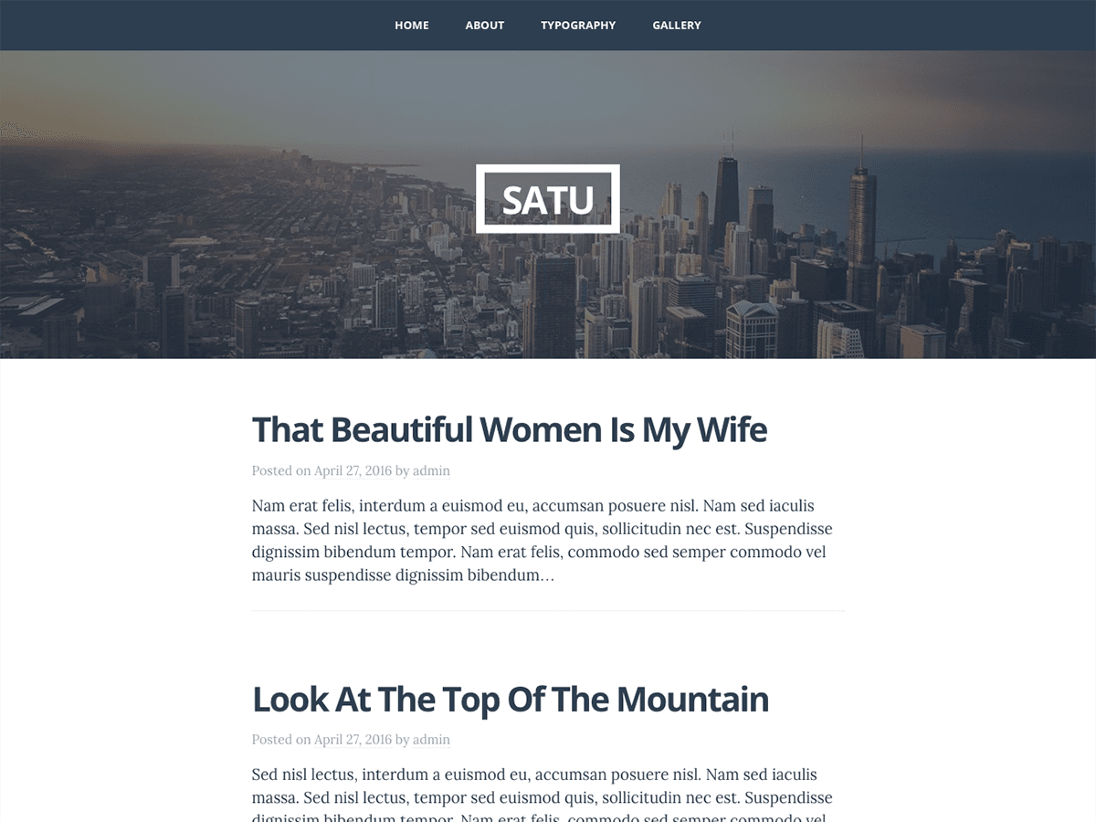 Satu theme screenshot