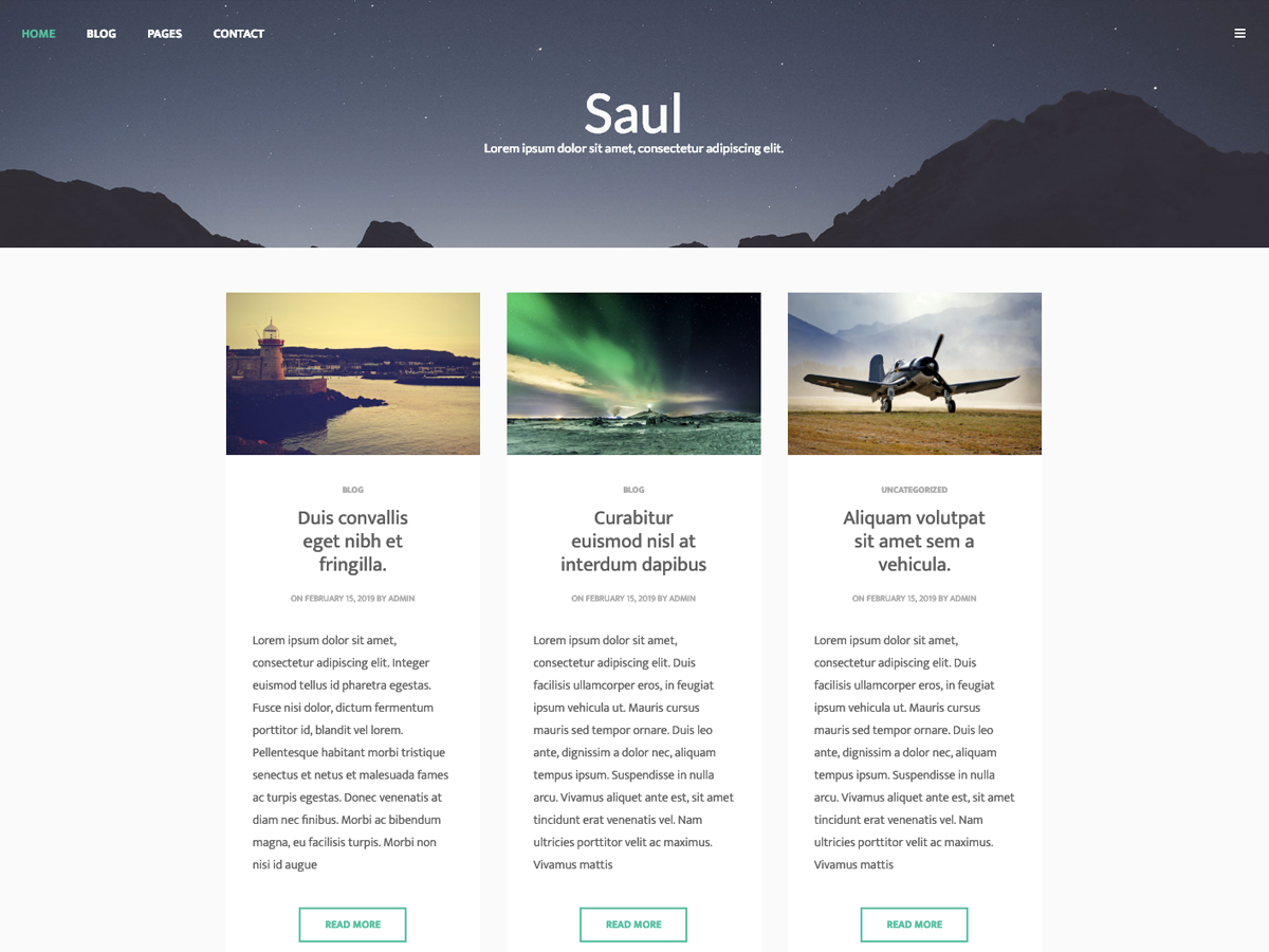 Saul theme screenshot