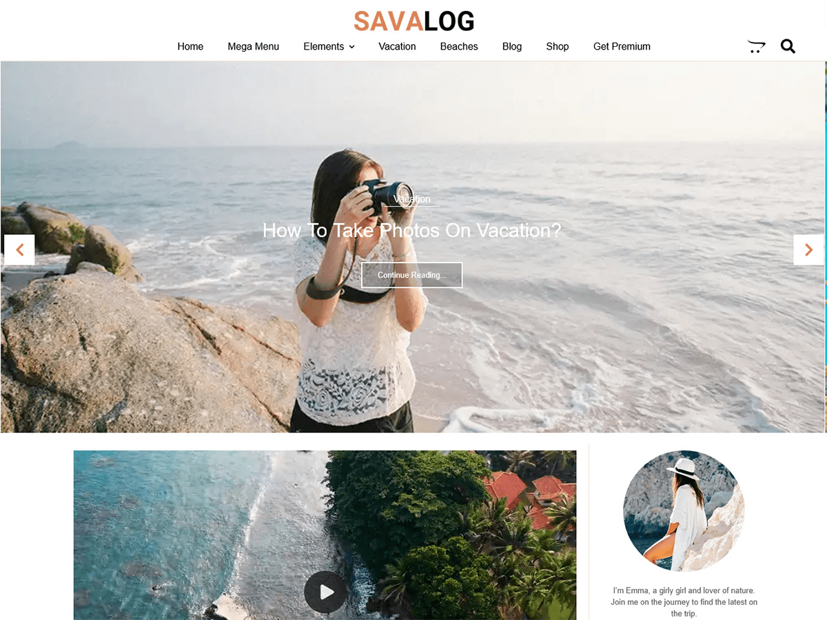 Savalog theme screenshot