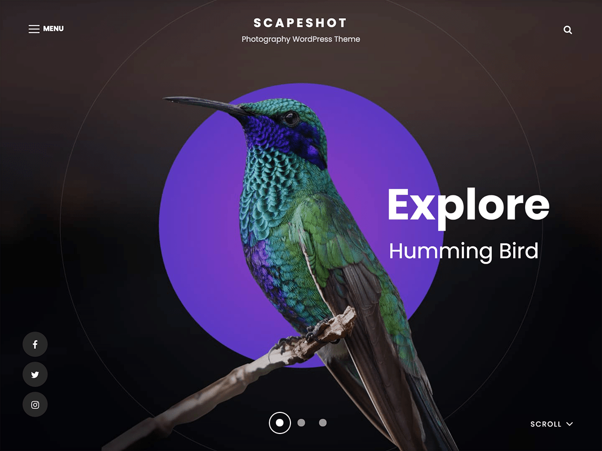 ScapeShot theme screenshot