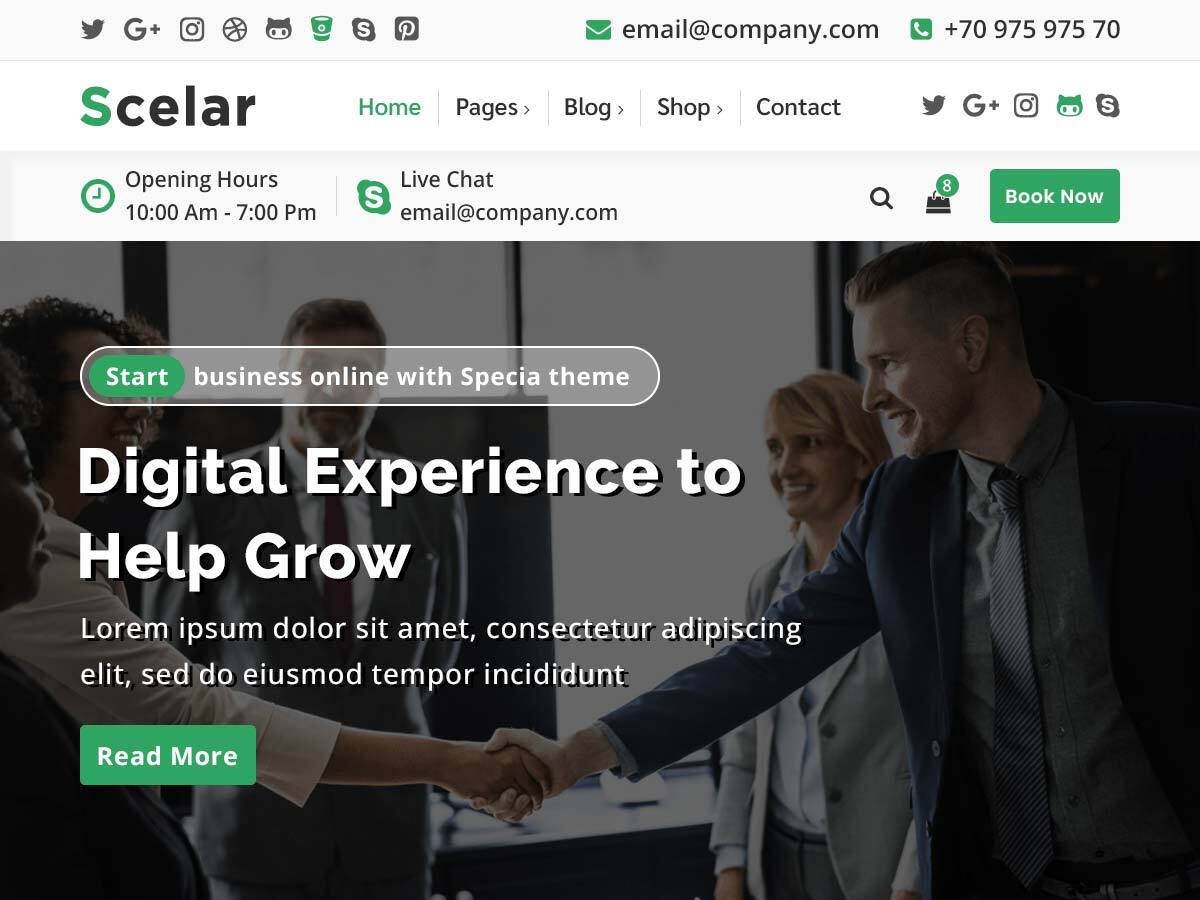 Scelar theme screenshot