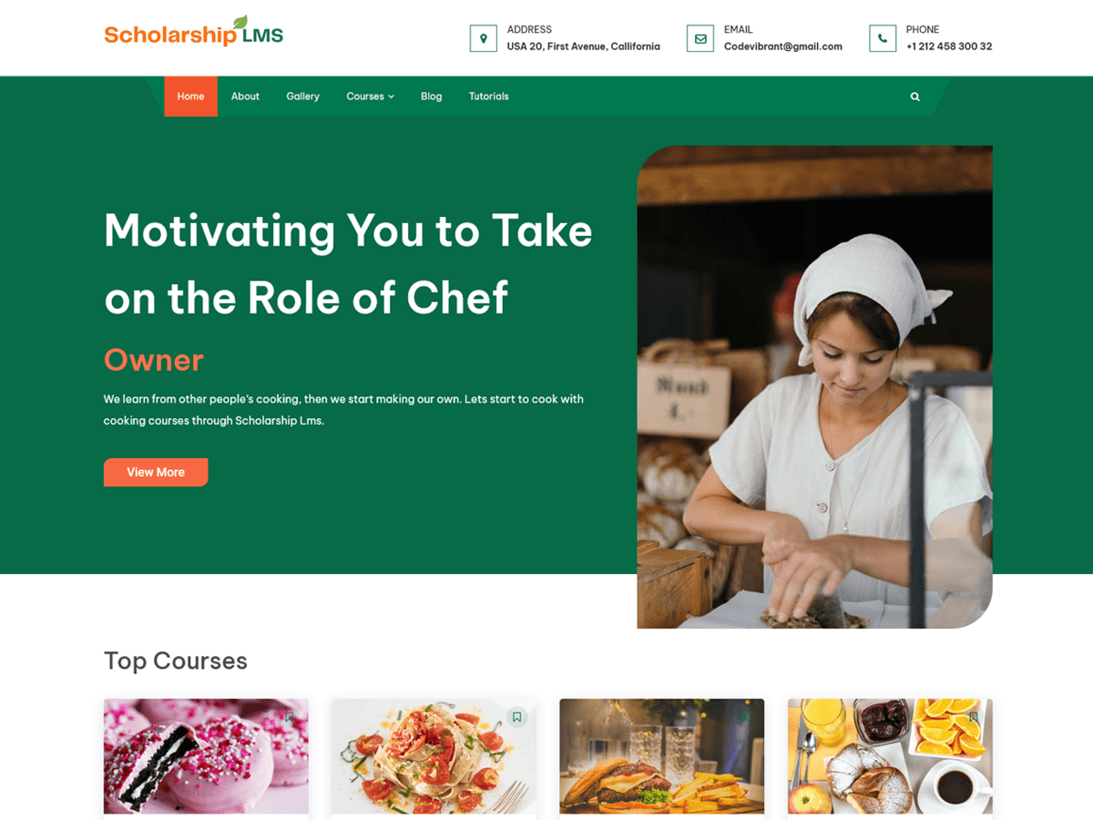 Scholarship LMS theme screenshot