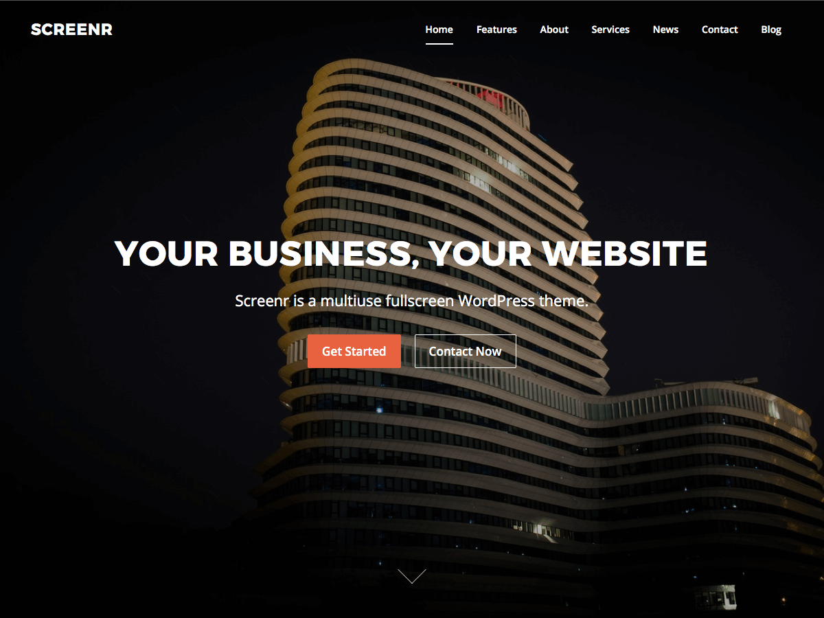 Screenr theme screenshot