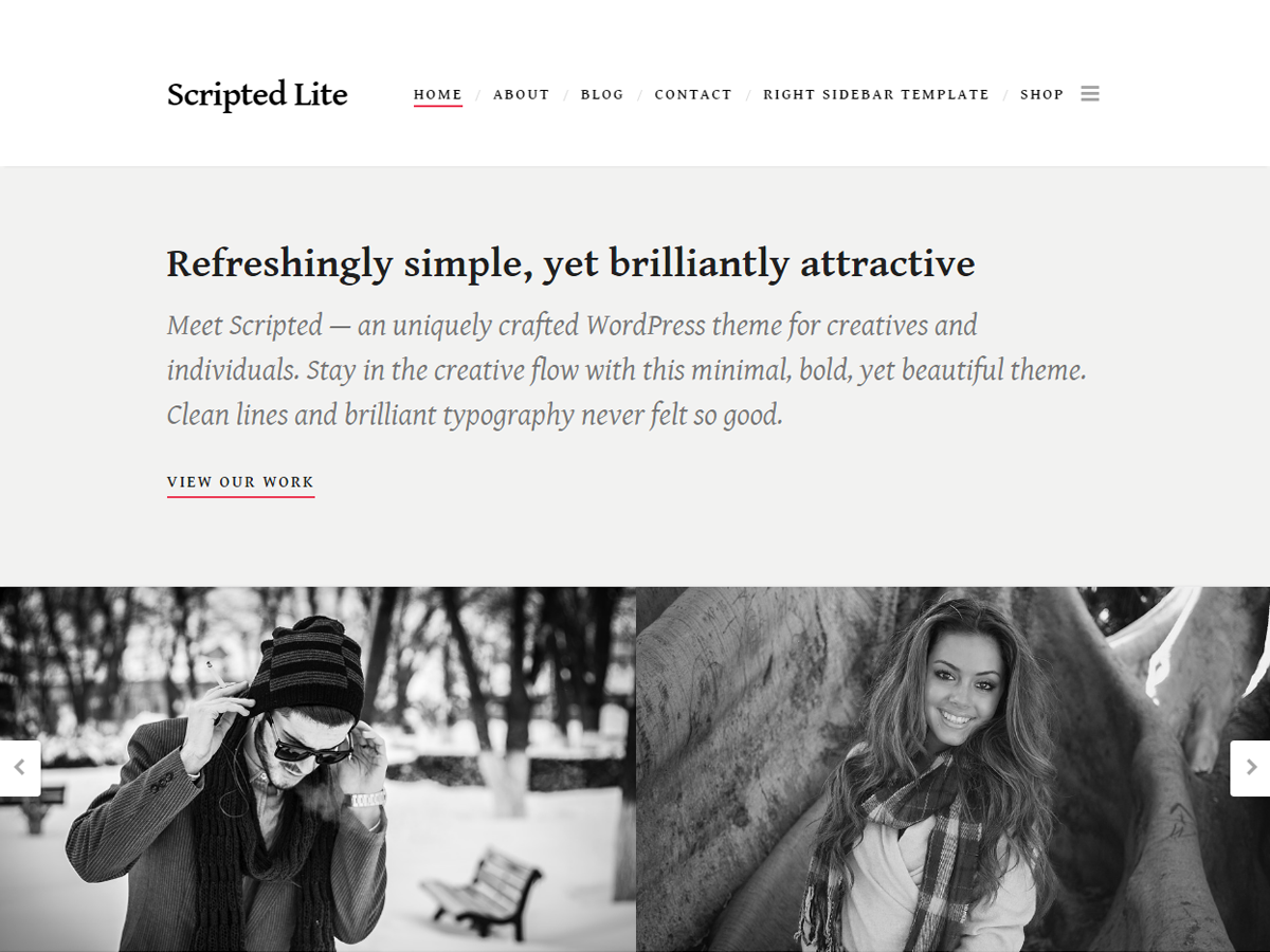 Scripted theme screenshot