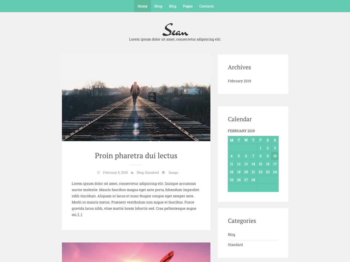 Sean Lite theme screenshot
