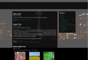 Seatlle Night theme screenshot