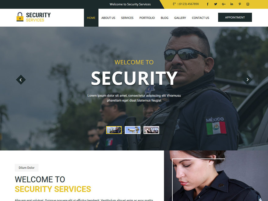 Secure theme screenshot