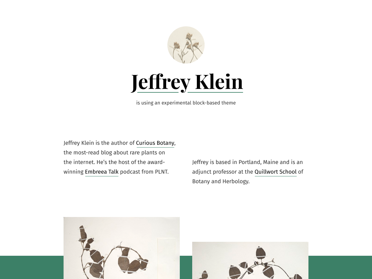 Seedlet (Blocks) theme screenshot