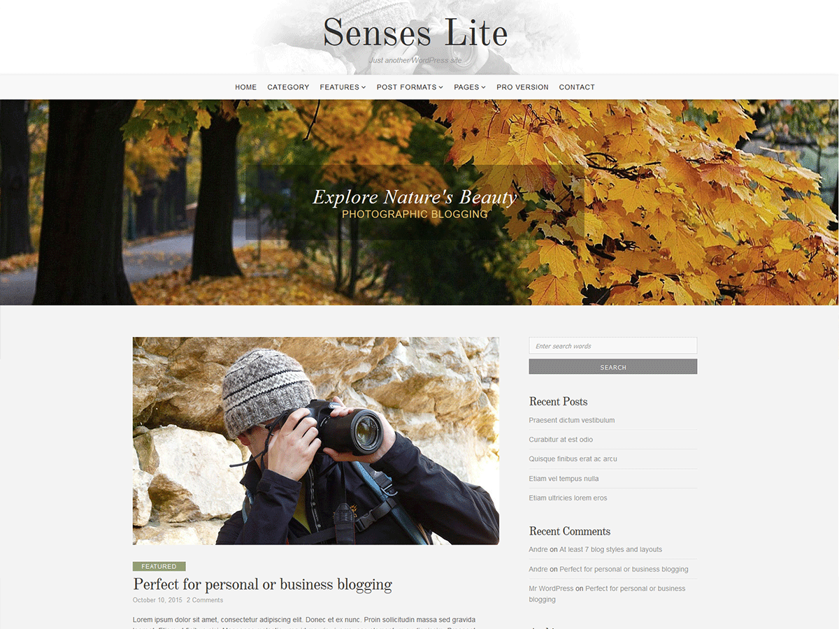 Senses Lite theme screenshot