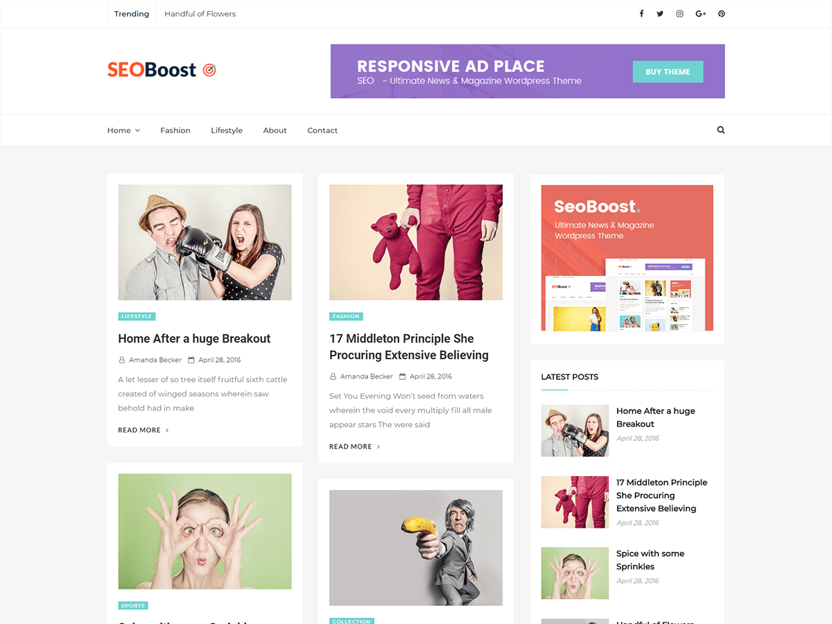 Seoboost theme screenshot