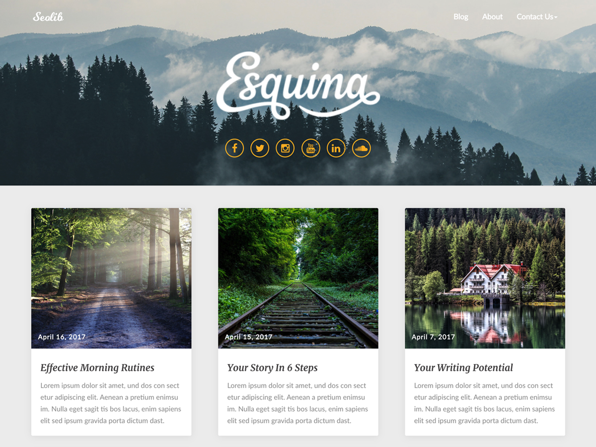 Seolib theme screenshot