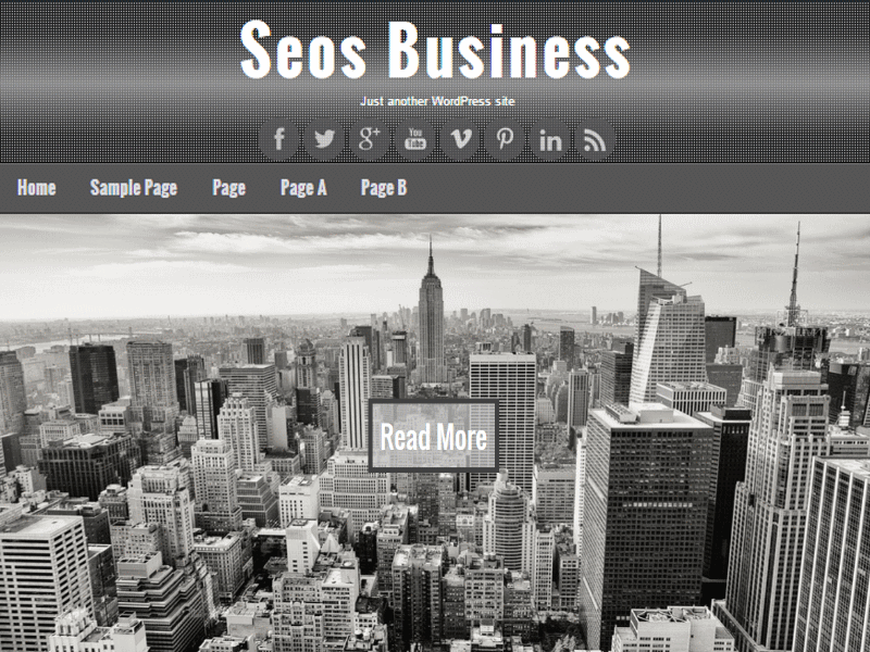 Seos Business theme screenshot