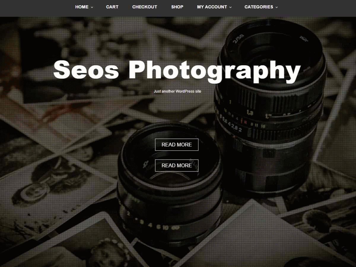 Seos Photography theme screenshot