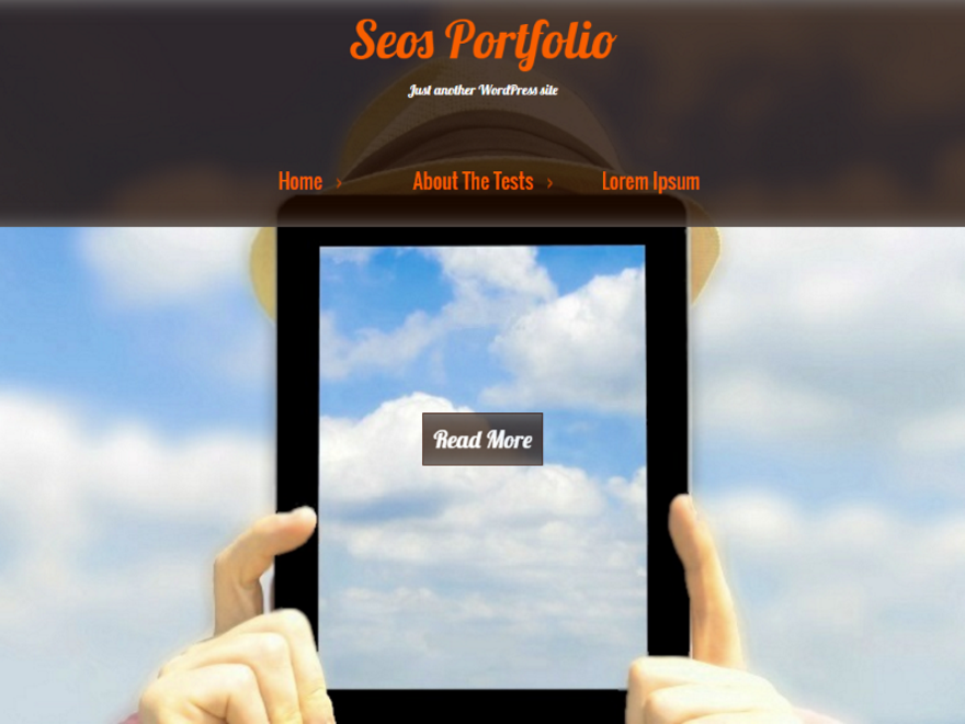 Seos Portfolio theme screenshot