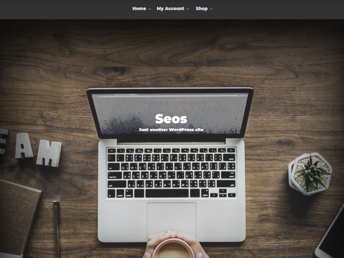 SEOS theme screenshot