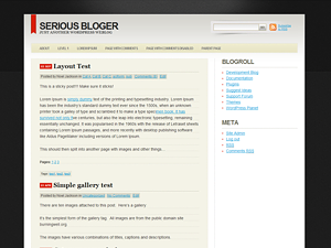 Serious Blogger theme screenshot