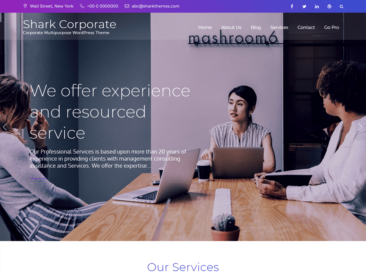 Shark Corporate theme screenshot