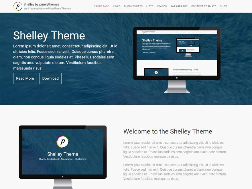 shelley theme screenshot