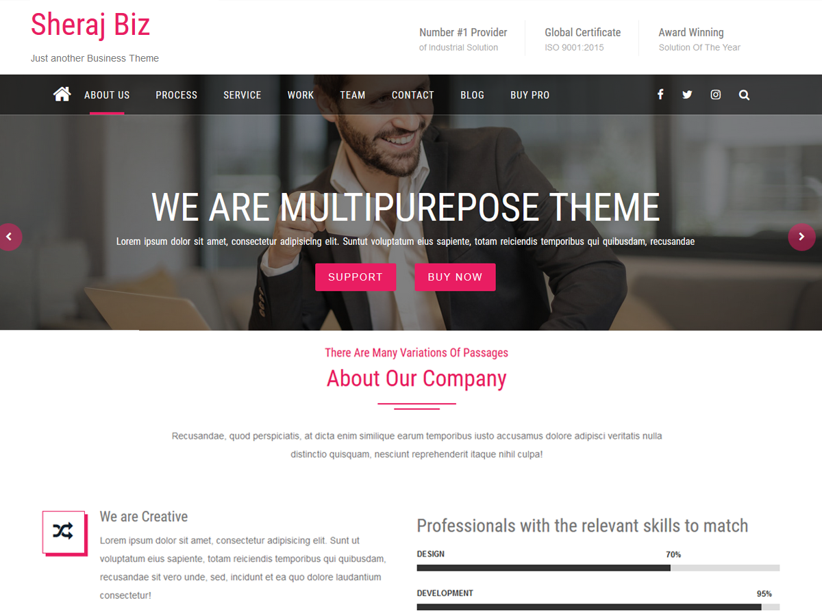 Sheraj Biz theme screenshot