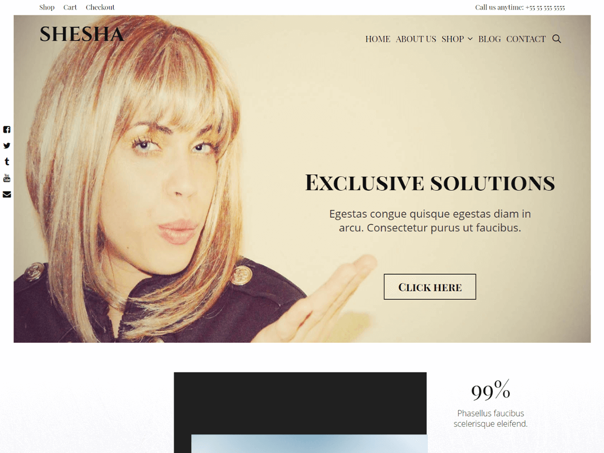 Shesha theme screenshot