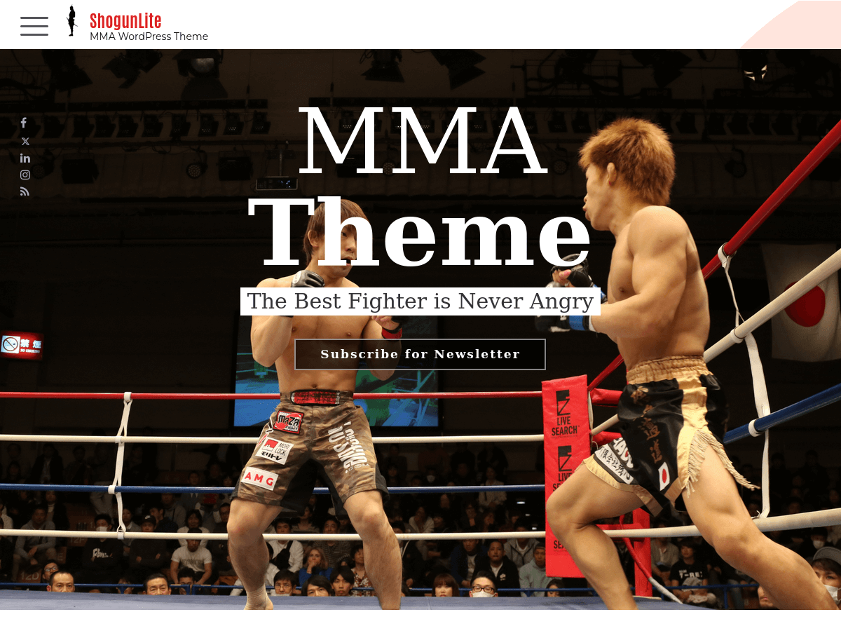 ShogunLite theme screenshot