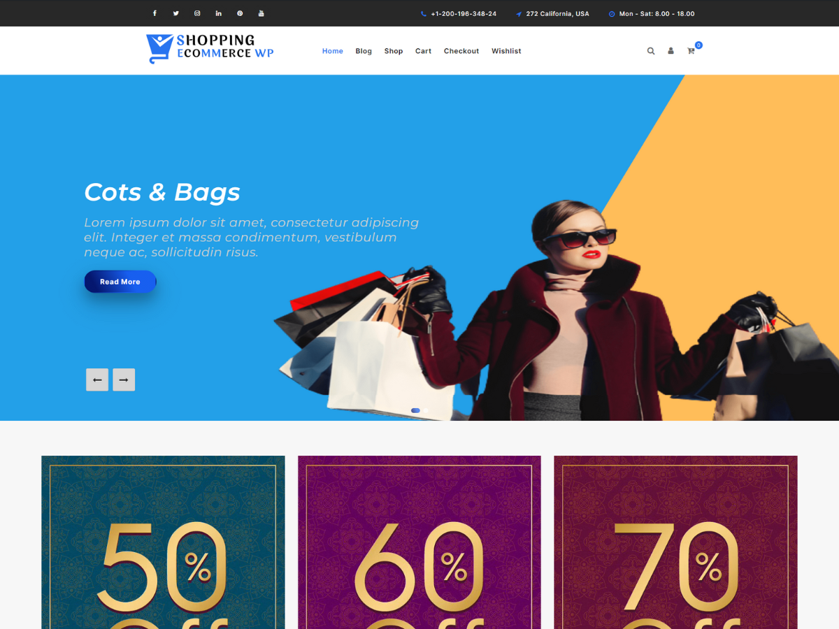 Shopping Ecommerce WP theme screenshot