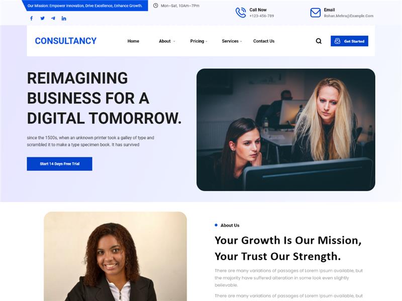 Siara Consultancy theme screenshot