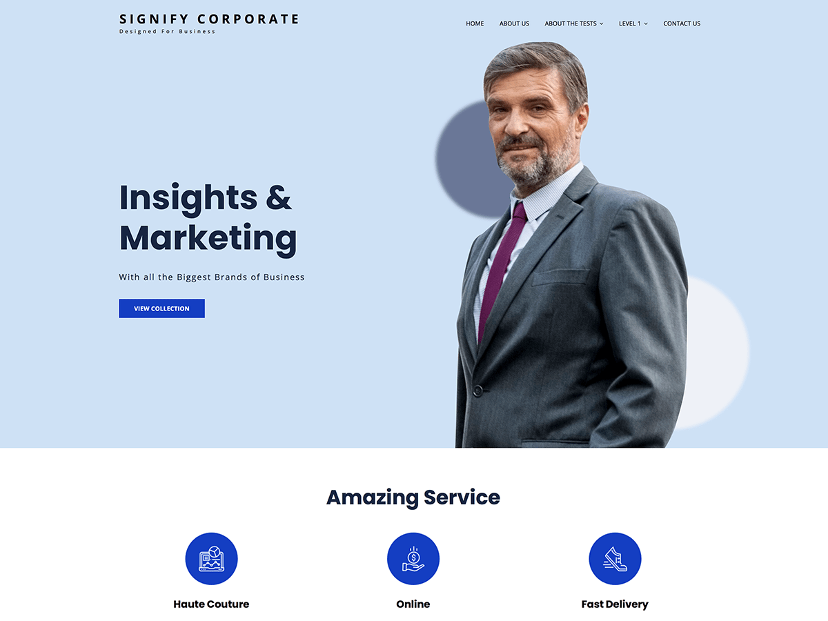 Signify Corporate theme screenshot