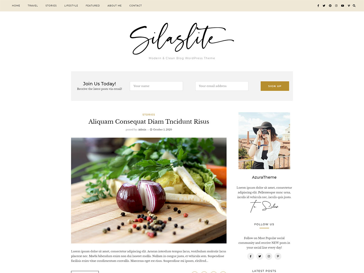 Silaslite theme screenshot