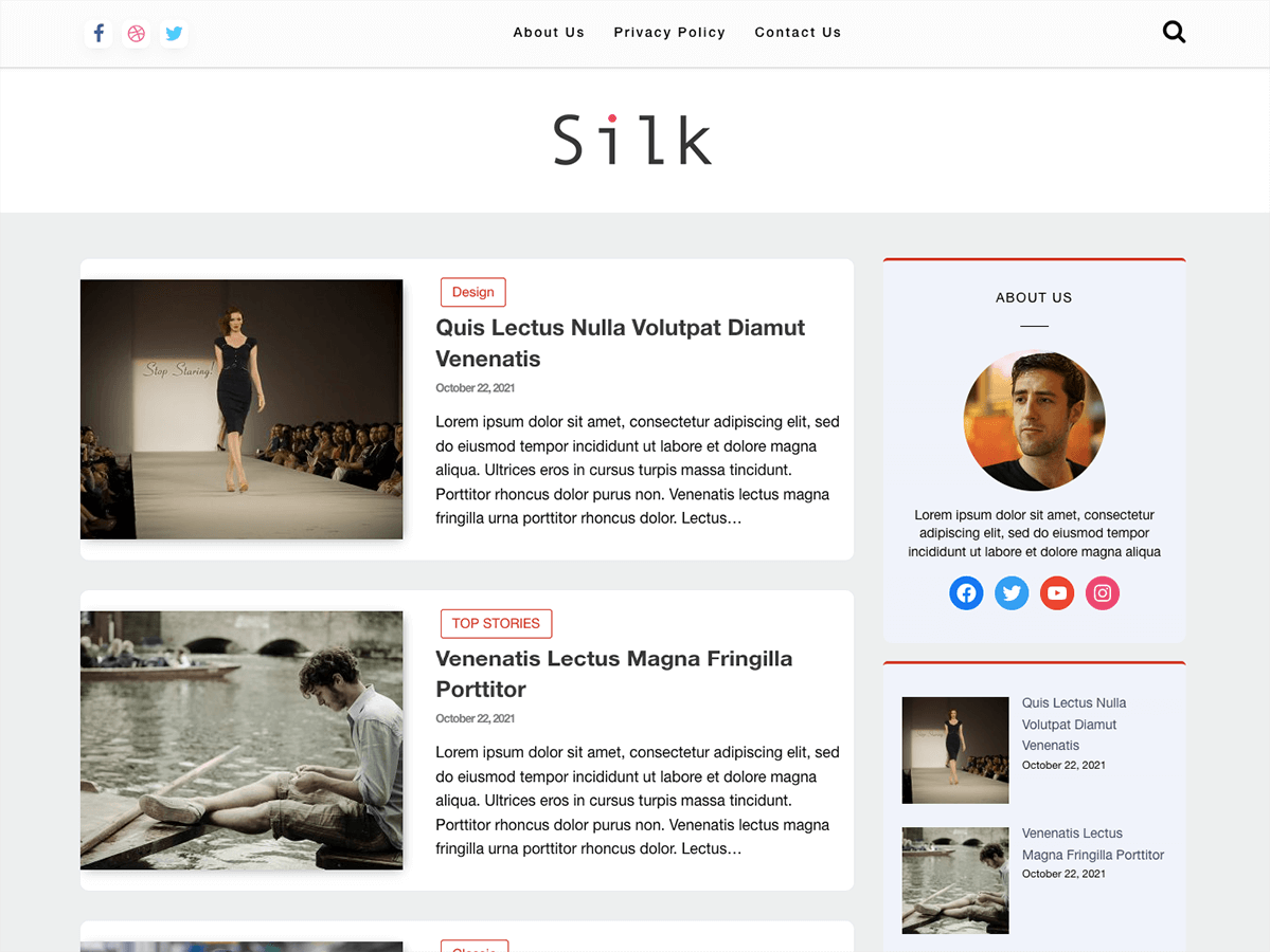 Silk Blog Tr theme screenshot