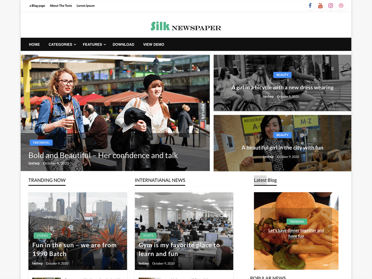 Silk Newspaper theme screenshot