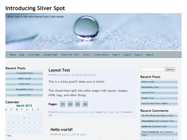 Silver Spot theme screenshot