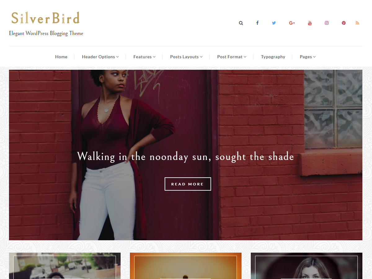 SilverBird theme screenshot